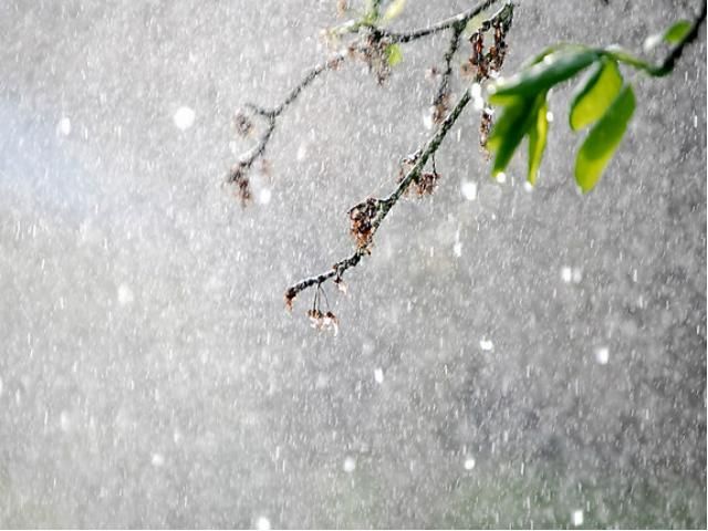 Сегодня на большей территории Украины дождь Сегодня на большей территории Украины дождь