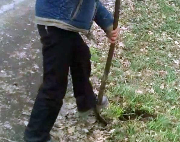 В Україні за 10 кілометрів до Євросоюзу дороги латають землею з лісу В Україні за 10 кілометрів до Євросоюзу дороги латають землею з лісу