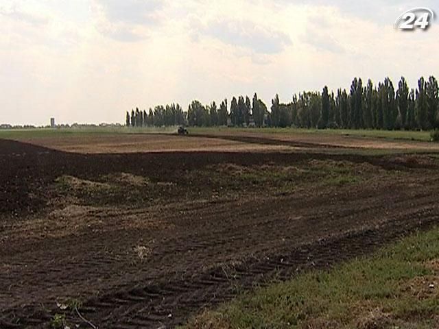 В Україні застраховано лише 2,5% сільгоспугідь В Україні застраховано лише 2,5% сільгоспугідь