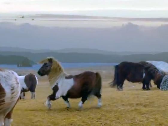 Інтернет підірвав ролик із танцюючим поні Інтернет підірвав ролик із танцюючим поні