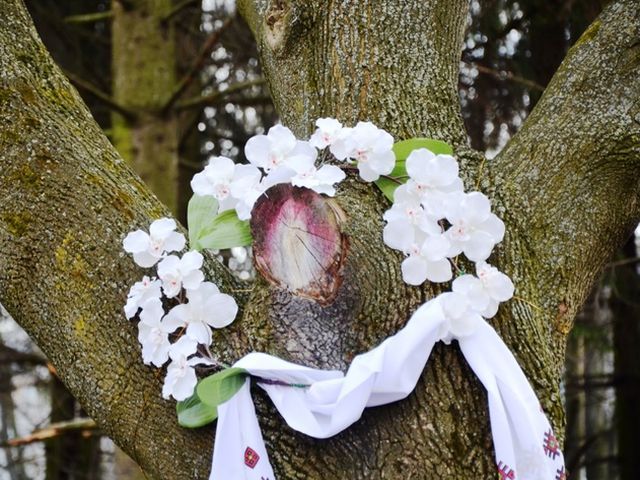 На Львівщину з’їжджаються паломники: жінка побачила образ Богородиці на дереві На Львівщину з’їжджаються паломники: жінка побачила образ Богородиці на дереві