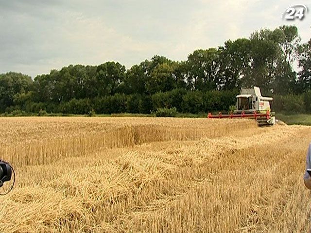 Експорт зернових збільшився на 38,5%, - Присяжнюк