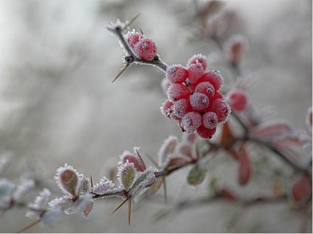 Сьогодні Україну замете снігом Сьогодні Україну замете снігом
