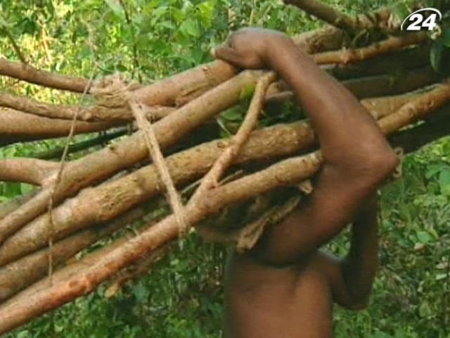 Як виробляють корицю (Відео) Як виробляють корицю (Відео)