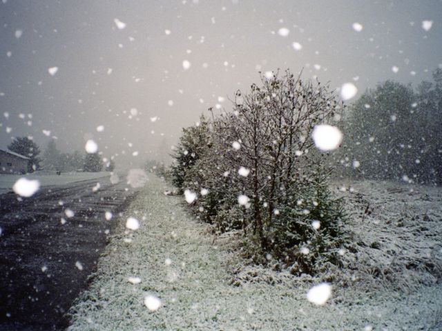 Завтра в Украине - мокрый снег с дождем Завтра в Украине - мокрый снег с дождем