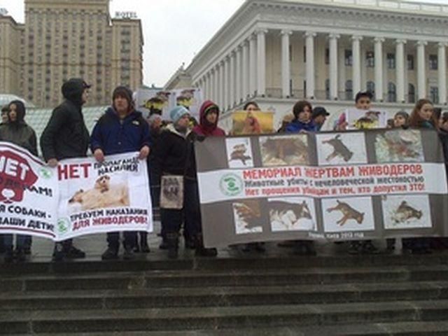 У Києві сотні людей вийшли на захист тварин