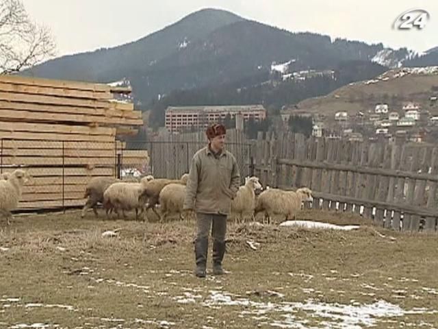 Депутаты будут стимулировать в Украине развитие семейного бизнеса Депутаты будут стимулировать в Украине развитие семейного бизнеса