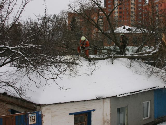 У Полтаві дерево впало на житловий будинок У Полтаві дерево впало на житловий будинок