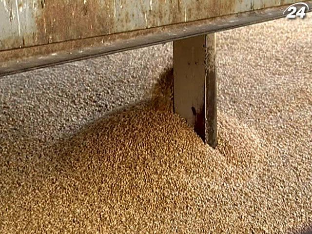 Украина претендует на 7 место среди мировых экспортеров зерна