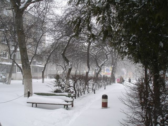 Снегопады спровоцировали во Львове 16 аварий Снегопады спровоцировали во Львове 16 аварий