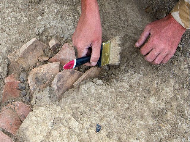 В Перу нашли останки доисторических птиц В Перу нашли останки доисторических птиц