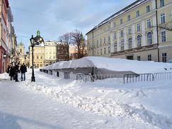 Львов оправляется от снежной бури (Фото)
