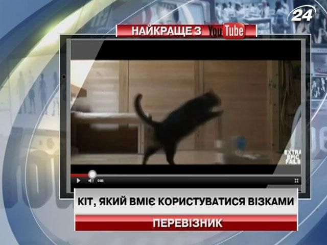 Кіт, який вміє користуватися візками