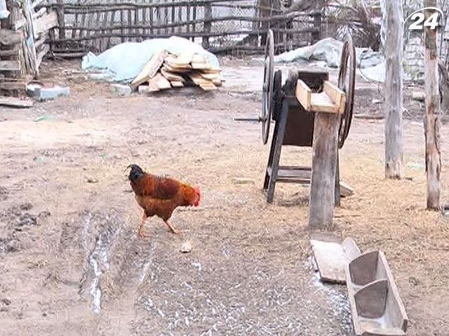 Уряд виділить на сільгоспкооперативи 100 млн грн Уряд виділить на сільгоспкооперативи 100 млн грн