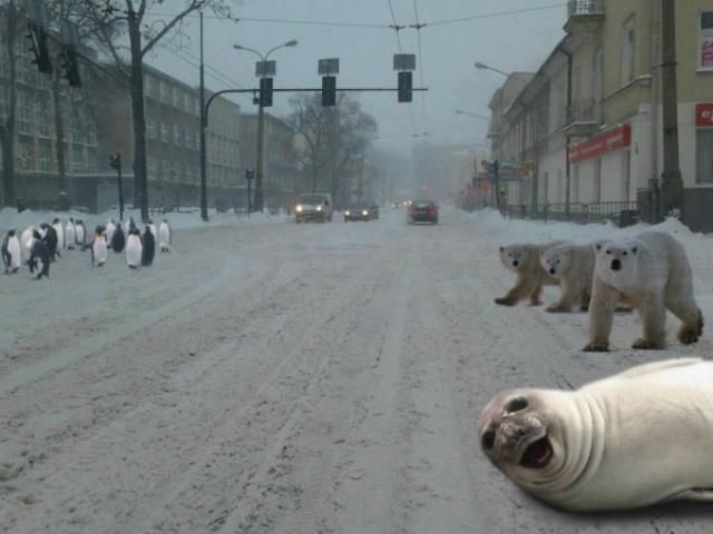Новини з регіонів: аномальні снігопади та "провальні" дороги Новини з регіонів: аномальні снігопади та "провальні" дороги