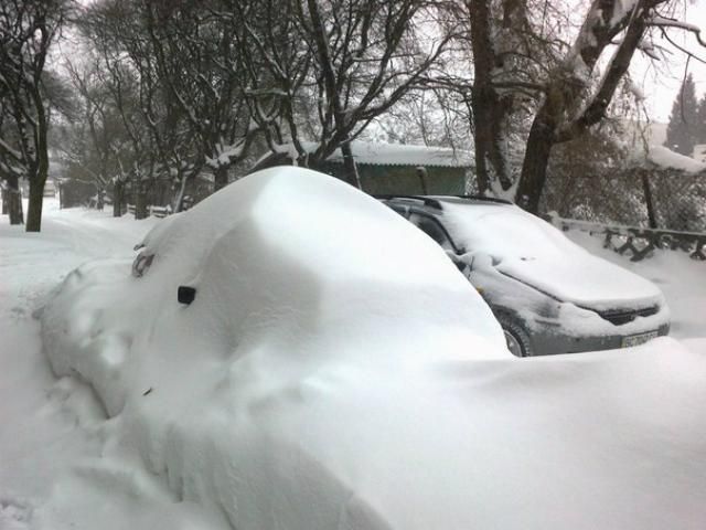 Захід України знову накриє хуртовина Захід України знову накриє хуртовина