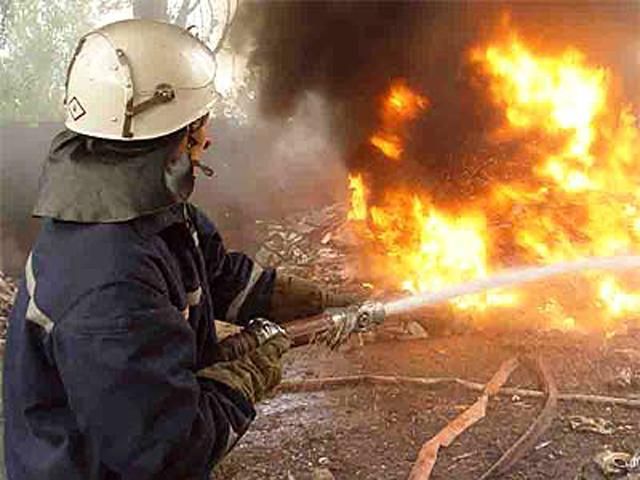На Киевщине в пожаре сгорело 5 000 перепелок