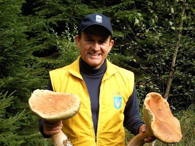 Губернатор Закарпатья отдал Медведчуку 63 га леса на почти 50 лет Губернатор Закарпатья отдал Медведчуку 63 га леса на почти 50 лет