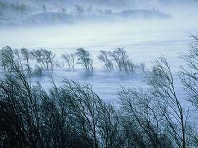 По всей Украине снова гололед и метель, только в Крыму до плюс 17° По всей Украине снова гололед и метель, только в Крыму до плюс 17°