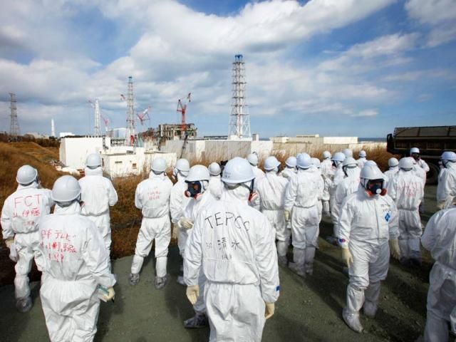 Пацюк ледь не спровокував нову аварію на Фукусімі-1