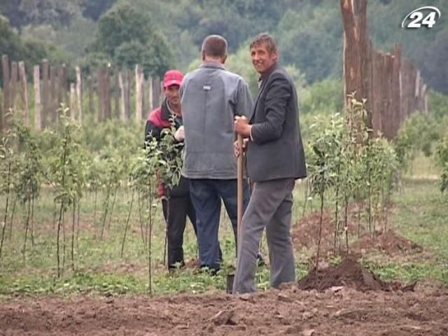 Половина украинских сельхозпредприятий могут стать убыточными Половина украинских сельхозпредприятий могут стать убыточными