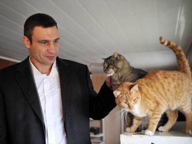 Оппозиция через 2 недели хочет взяться за импичмент президента, - Кличко Оппозиция через 2 недели хочет взяться за импичмент президента, - Кличко