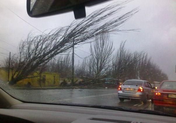 Буря добралась до Одессы: ветер валит деревья и срывает крыши (Видео) Буря добралась до Одессы: ветер валит деревья и срывает крыши (Видео)