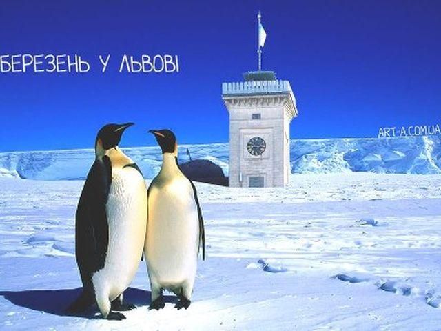 Інтернет кишить мемами про український сніг (Фото) Інтернет кишить мемами про український сніг (Фото)