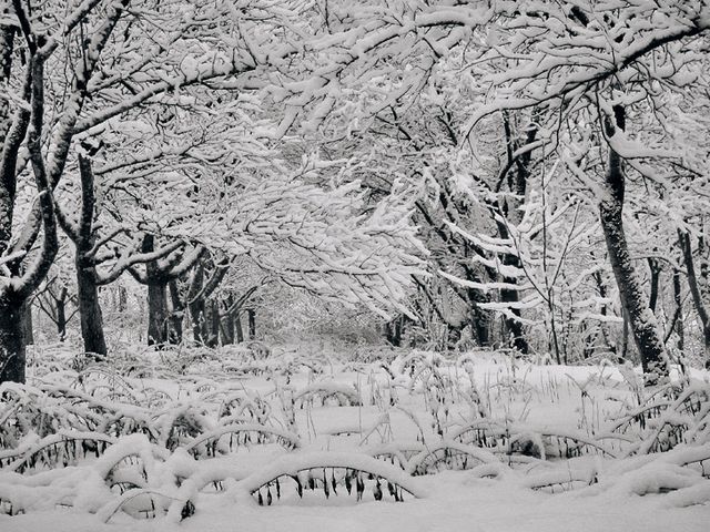 В Киеве понедельник может стать выходным В Киеве понедельник может стать выходным