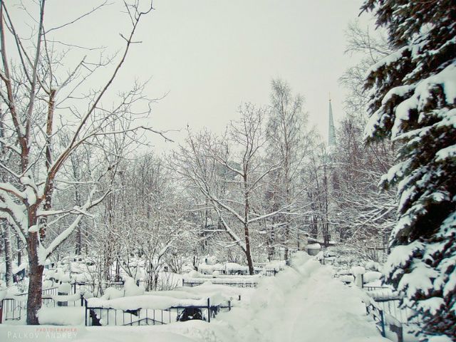 Из-за снегопада киевляне не могут похоронить своих близких Из-за снегопада киевляне не могут похоронить своих близких