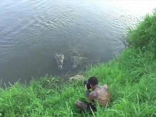 На фотографа напал крокодил во время съемки (Видео)