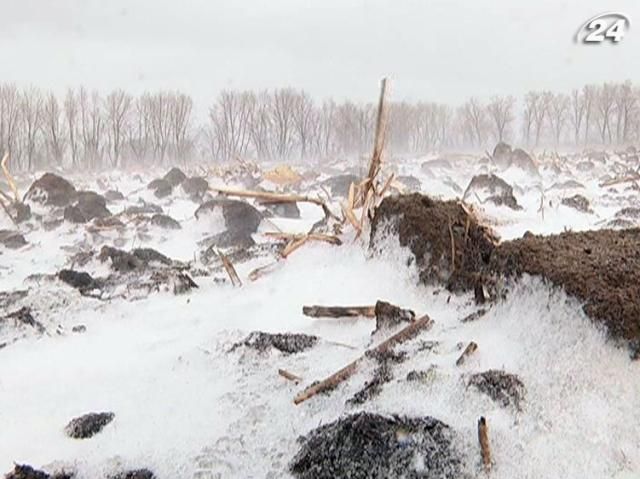 Из-за поздней весны Украина может собрать меньше яровых