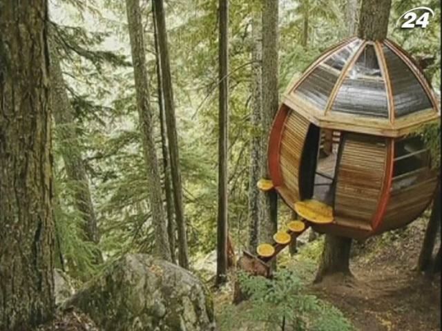 Экодом на дереве: отдохнешь на славу, если найдешь его среди трущоб Экодом на дереве: отдохнешь на славу, если найдешь его среди трущоб