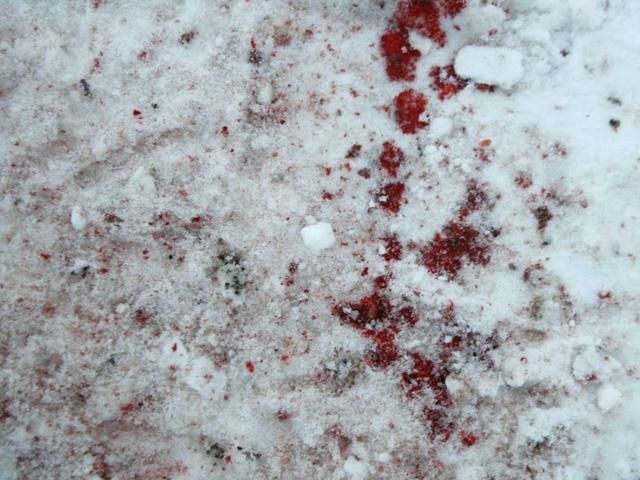 У Києві снігоприбиральний трактор на смерть збив жінку