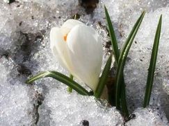 Активно таять снег начнет 5 апреля, - Вилкул