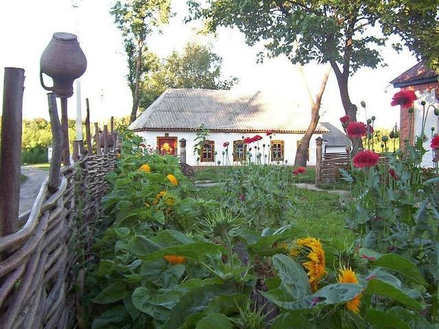 В Україні створили опозиційне об'єднання "Буде село - буде Україна"