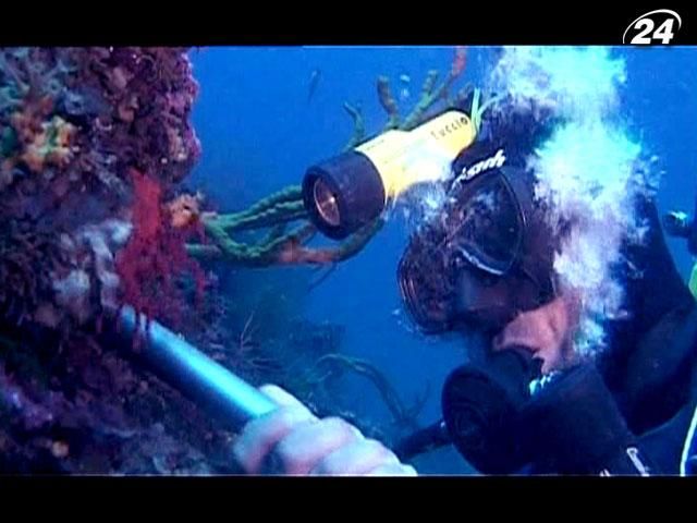 Охотник за кораллами - поиски подводного богатства в экстремальных глубинах Охотник за кораллами - поиски подводного богатства в экстремальных глубинах