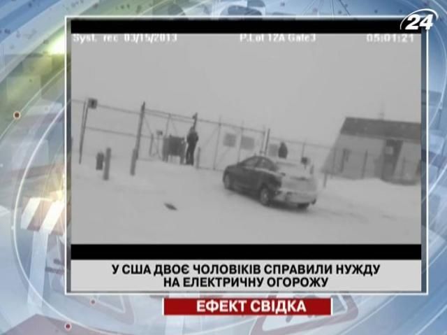 В США мужчины справили нужду на электрическую ограду В США мужчины справили нужду на электрическую ограду