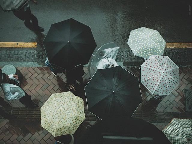 З понеділка в Україні дощитиме З понеділка в Україні дощитиме