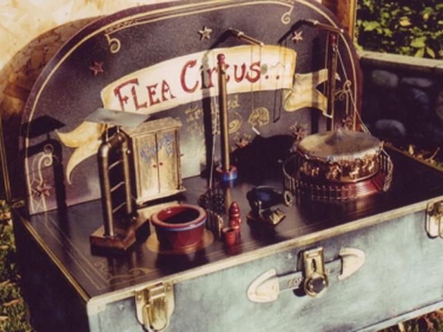 У Німеччині через мороз загинули всі артисти блошиного цирку У Німеччині через мороз загинули всі артисти блошиного цирку