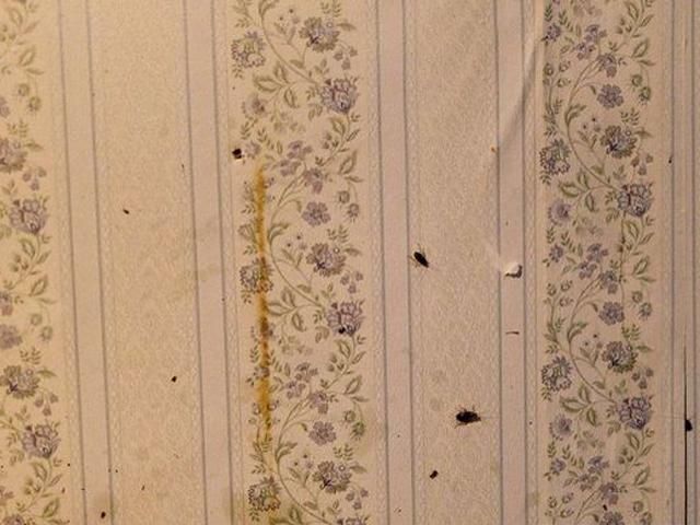 Как живут гастербайтеры (Фото) Как живут гастербайтеры (Фото)