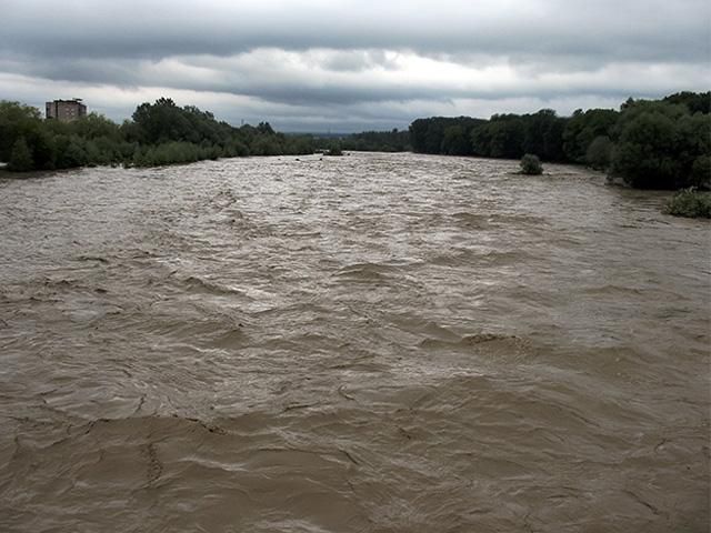 Губернатор Житомира считает, что области нужно наводнение
