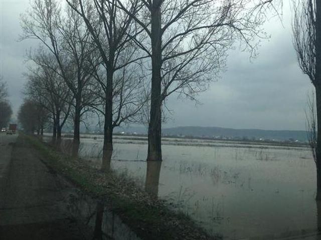 Уж вышел из берегов (Фото)