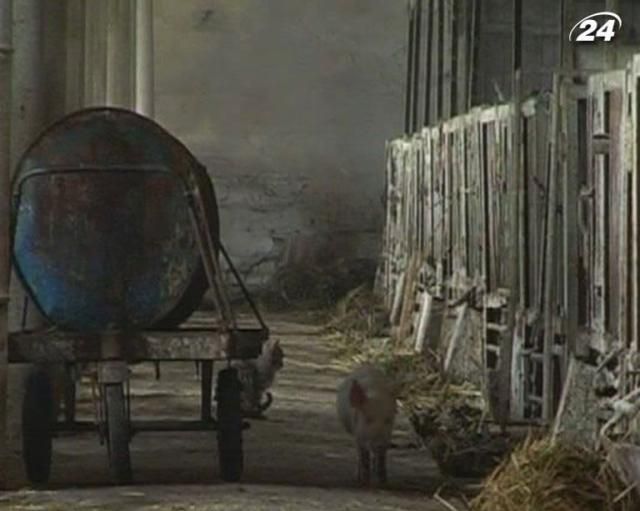 Миндоходив может ввести 7% НДС для аграриев Миндоходив может ввести 7% НДС для аграриев