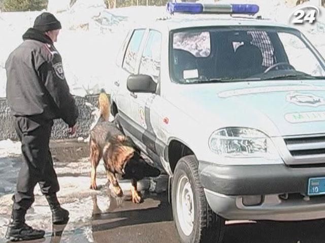 Правоохранители провели тренировку служебных собак