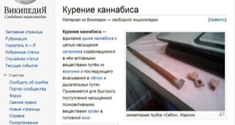 "Википедию" в России внесли в "черный список" из-за канабиса