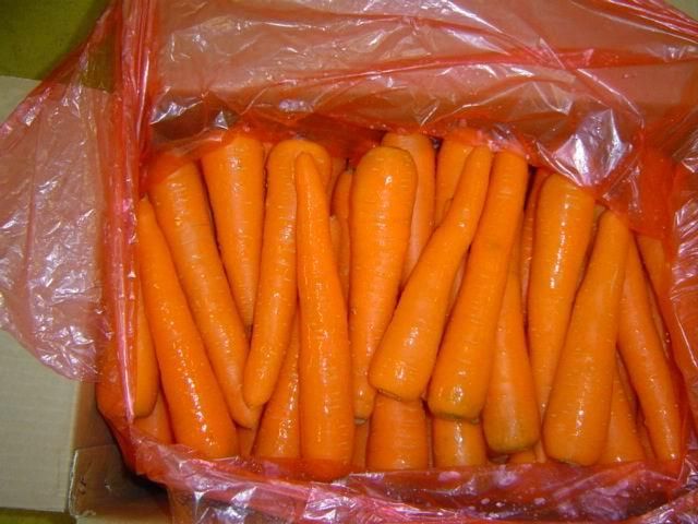 Активисты от оппозиции вывели из парка Шевченко трех "зайцев" Активисты от оппозиции вывели из парка Шевченко трех "зайцев"