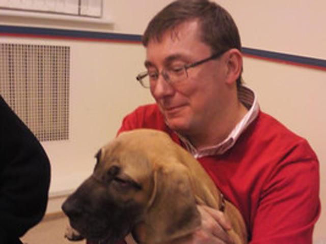 Луценка признала його собака Луценка признала його собака