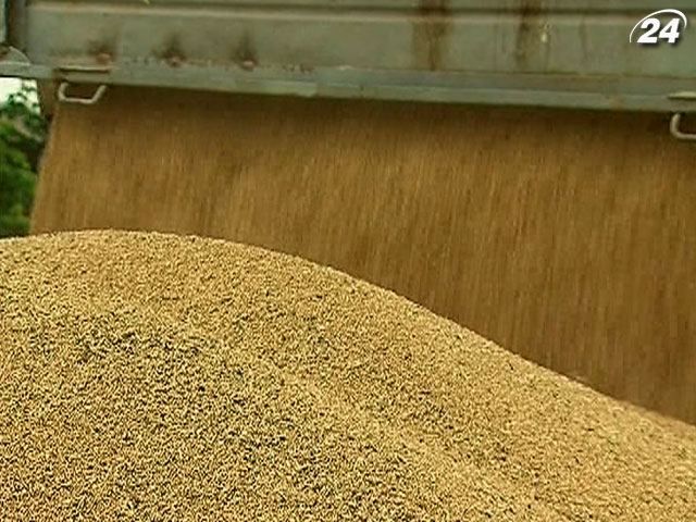 Українські аграрії зберуть 50-53 млн тонн зернових, - експерт