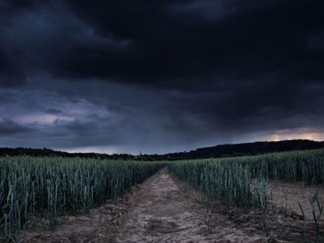 У полі на Миколаївщині знайшли ящики з розчленованими людськими тілами У полі на Миколаївщині знайшли ящики з розчленованими людськими тілами